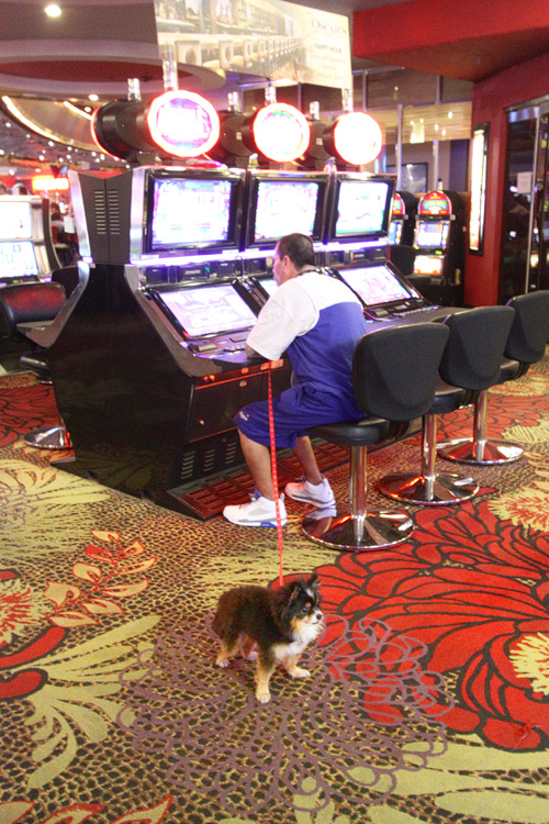 which casino in vegas has the loosest slots